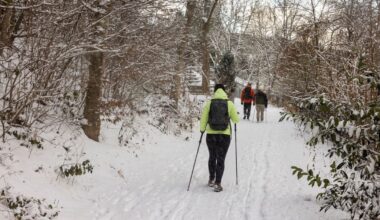 Winterwetter sorgt für Dauerfrost und eisige Temperaturen