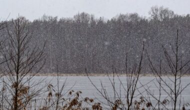 Winterwetter bestimmt das Wochenende in Berlin