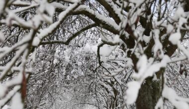 Weitere Friedhöfe in Hamburg schließen wetterbedingt