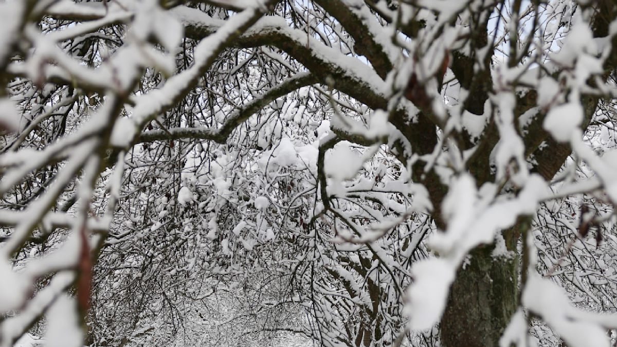 Weitere Friedhöfe in Hamburg schließen wetterbedingt