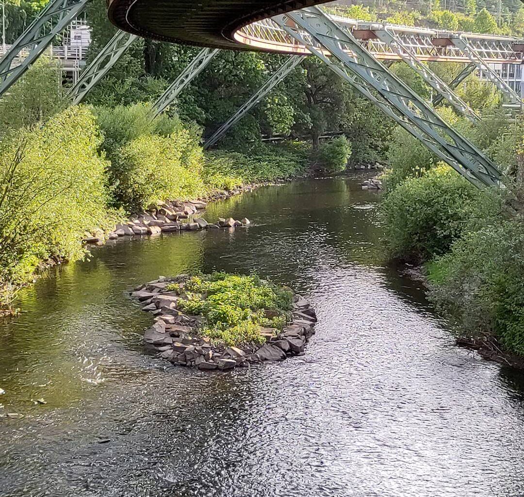 Wupper: zurück zur Natur - Radio Wuppertal