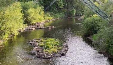 Wupper: zurück zur Natur - Radio Wuppertal