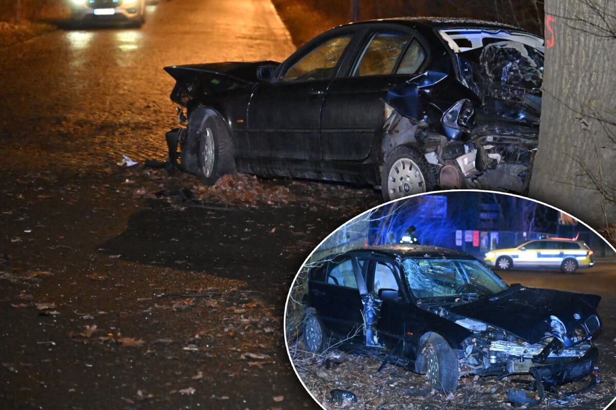 Auto kracht in Leipzig gegen Baum: Fahrer samt Kennzeichen verschwunden