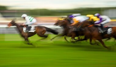 Bund verschwendet Milliarden für unsinnige Subventionen