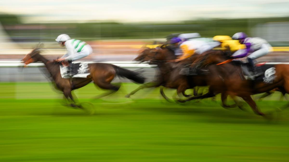 Bund verschwendet Milliarden für unsinnige Subventionen