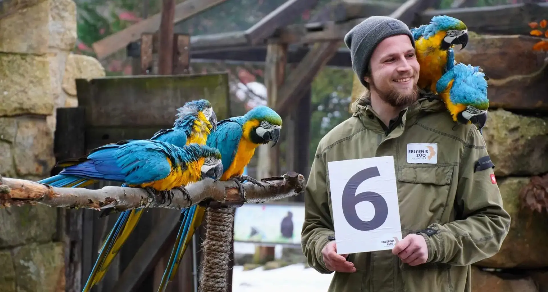 Tierische Inventur: Das große Zählen im Zoo Hannover