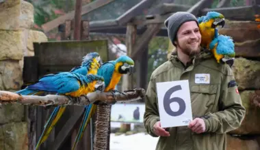Tierische Inventur: Das große Zählen im Zoo Hannover