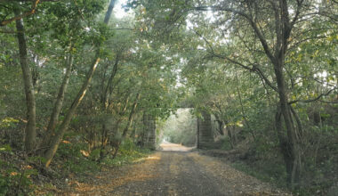 AHA fordert stärkeren Schutz von Umwelt und Landschaft in Teutschenthal - HalleSpektrum.de