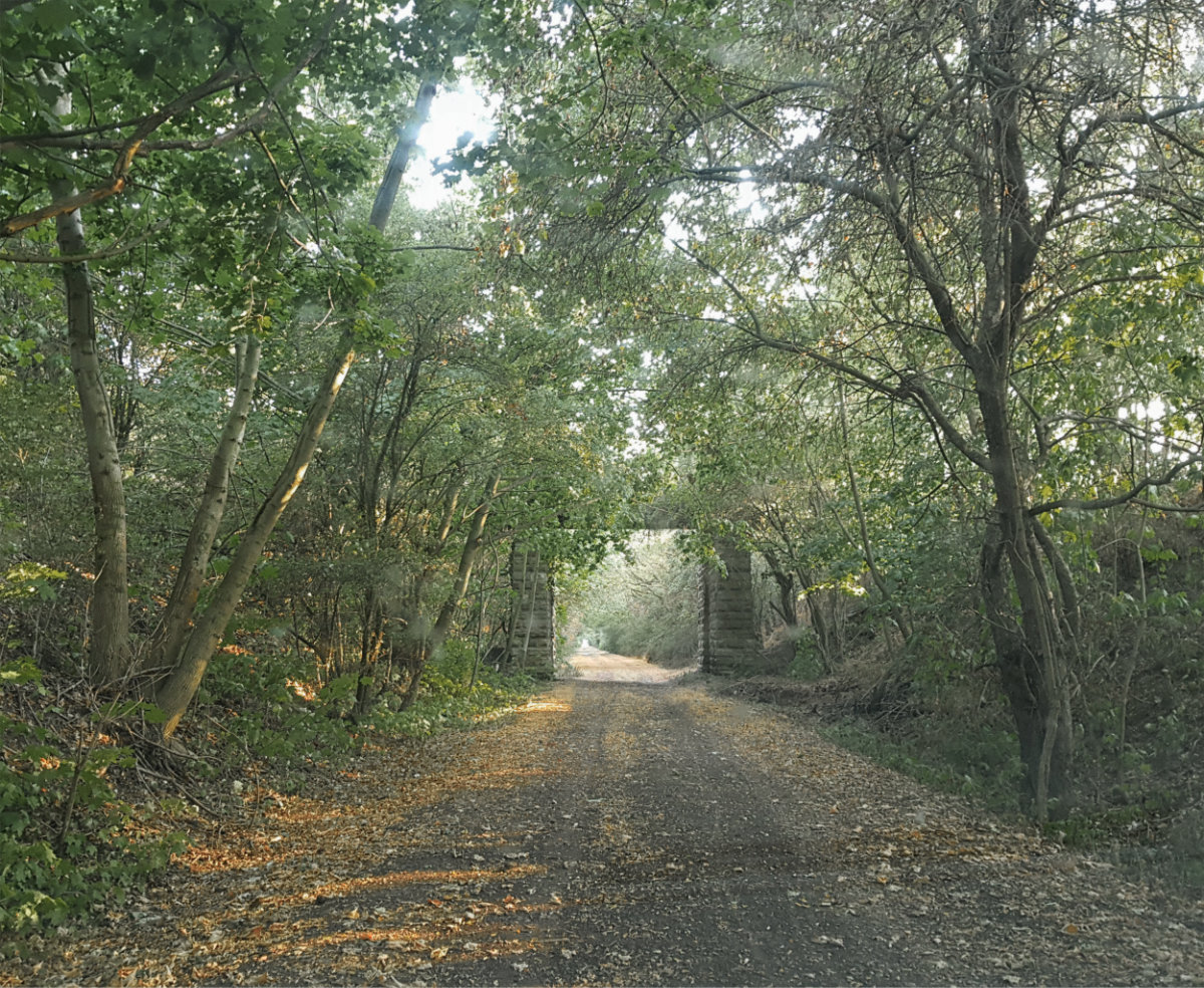 AHA fordert stärkeren Schutz von Umwelt und Landschaft in Teutschenthal - HalleSpektrum.de