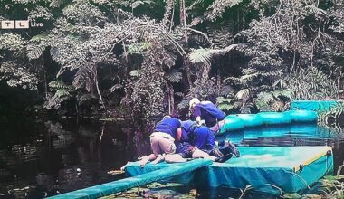 Chaos im Dschungelcamp: Gil Ofarim verursacht Notarzteinsatz