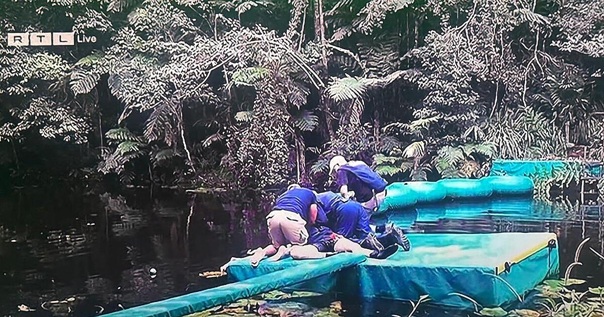 Chaos im Dschungelcamp: Gil Ofarim verursacht Notarzteinsatz