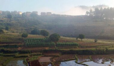 Stadt Land Kunst • Madagaskar / Frankreich / Deutschland