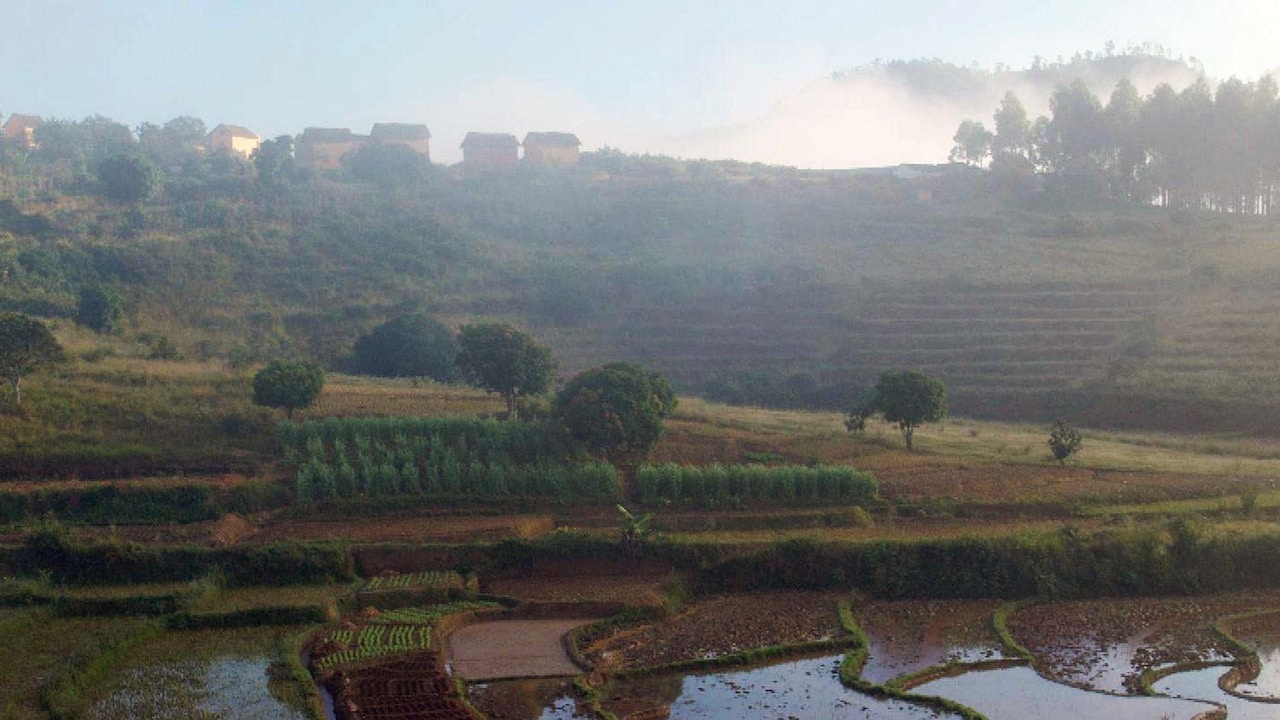 Stadt Land Kunst • Madagaskar / Frankreich / Deutschland
