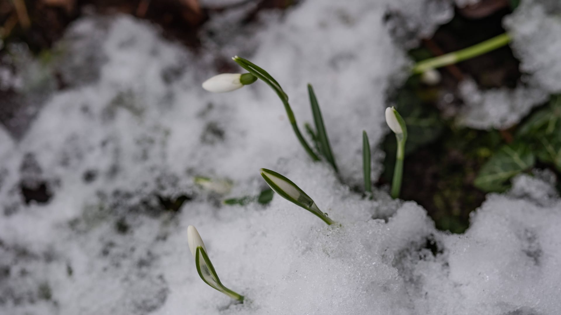 imago images 0200908572