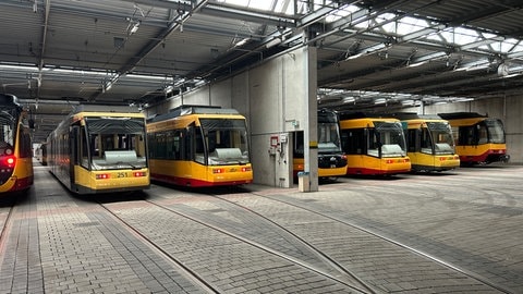 Streik beim KVV in Karlsruhe (Foto: SWR) Streik beim KVV in Karlsruhe