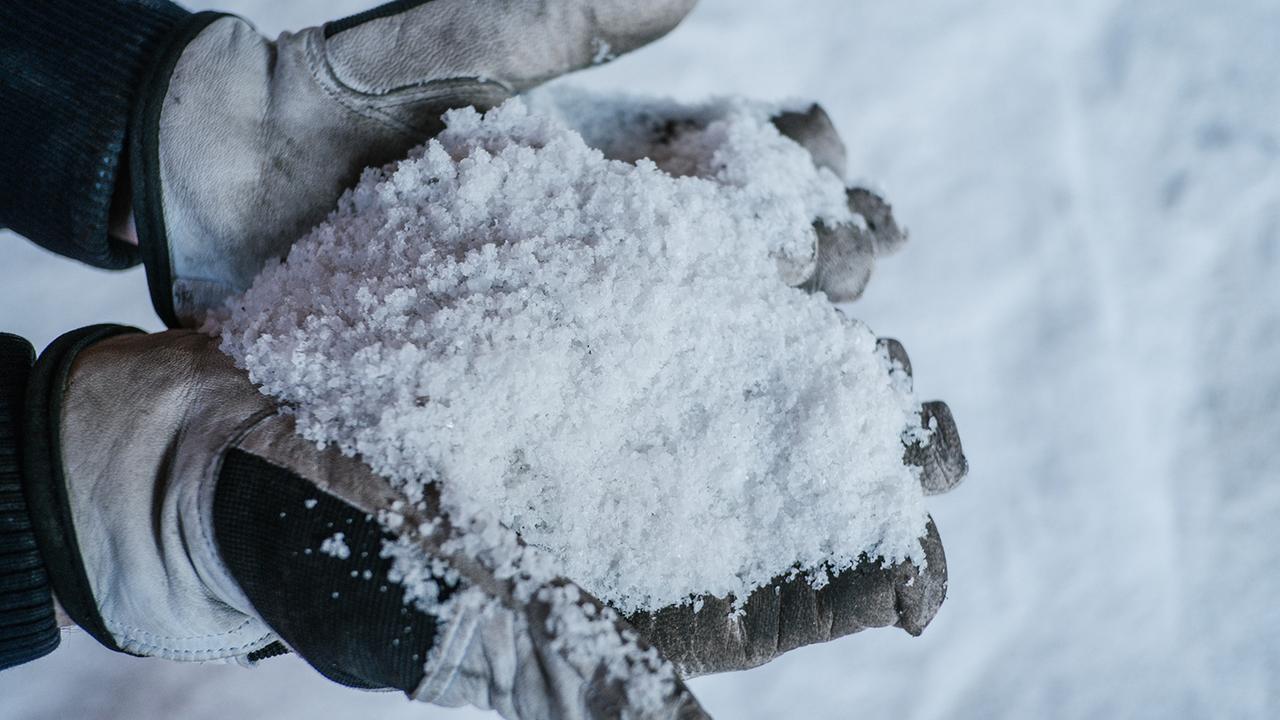 NABU gewinnt Klage: Berliner Gericht stoppt privaten Einsatz von Streusalz