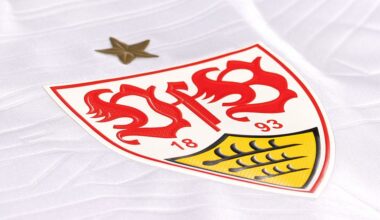 VfB Stuttgart | Ergebnisse der Mitgliederbefragung
