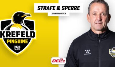 Drei Spiele Sperre für Krefeld Pinguine Cheftrainer Thomas Popiesch