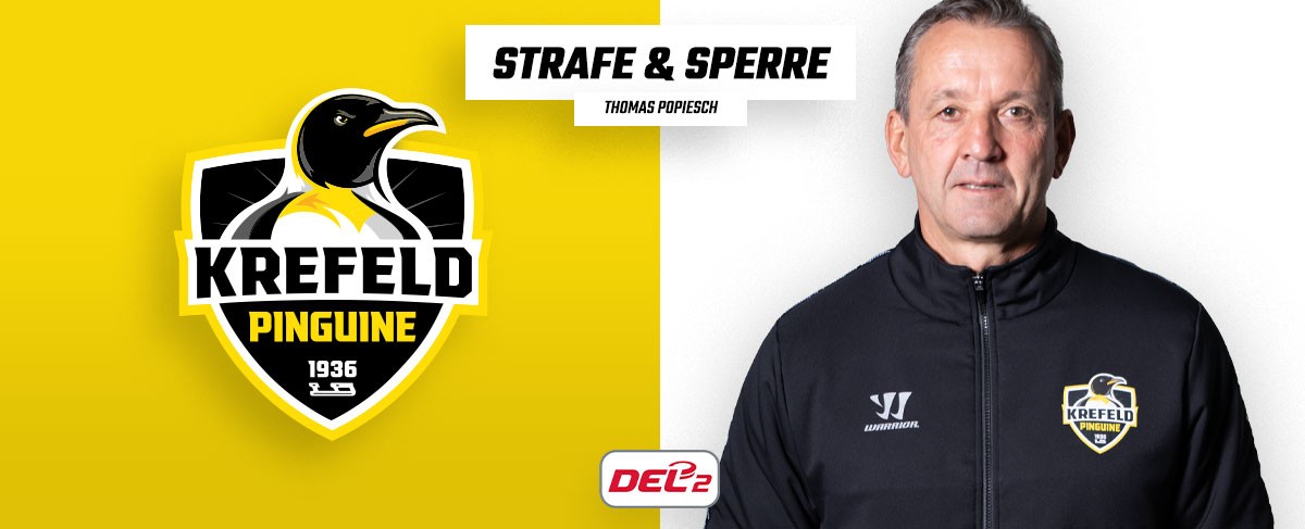Drei Spiele Sperre für Krefeld Pinguine Cheftrainer Thomas Popiesch