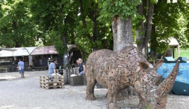 Wo das Nashorn vom Münchner Grünspitz jetzt zu finden ist