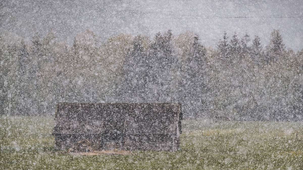 Bauernregel sagt Frühlingswetter in Frankfurt voraus