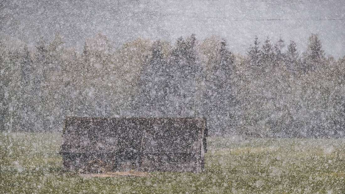 Eine Bauernregel für Anfang Februar gibt einen Hinweis auf das Frühlingswetter.