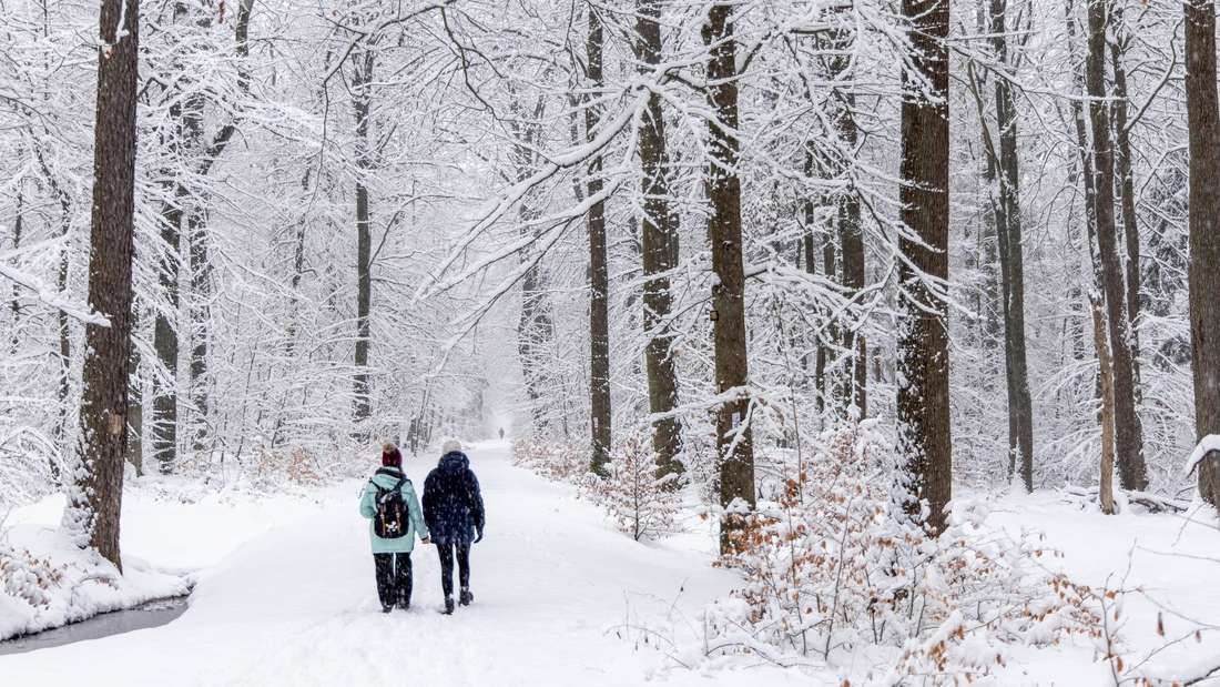 In Hessen setzte am Dienstagnachmittag ein starker Schneefall ein und verwandelte das Bundesland von Frankfurt bis Kassel in eine Winterlandschaft.