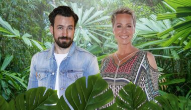 Bild Ich bin ein Star – Holt mich hier raus! - RTL