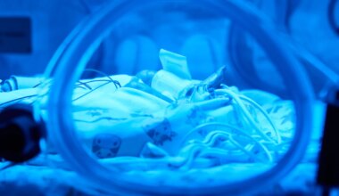 Nürnberg: Hoffnung für Frühchen - KI-Modellprojekt startet - Bayern