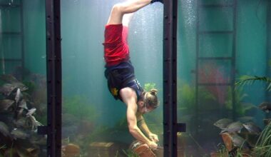 Dschungelcamp, Tag 10: Schlechte Nachrichten für „Ariel-Ultras“ – Gil Ofarim erwacht mit Macht