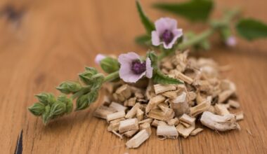 Hustenreiz, Halsschmerzen, Kratzen: Wie Eibischwurzel dir wirklich hilft