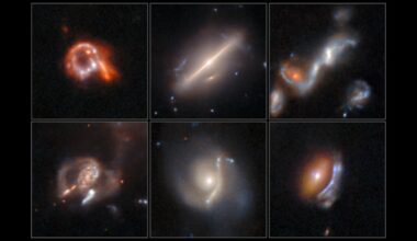 Sechs astronomische Aufnahmen von Galaxien, die verschiedene Formen und Strukturen zeigen. Oben links ist eine ringförmige Galaxie mit leuchtenden, roten und weißen Bereichen. Oben in der Mitte eine längliche Galaxie mit einem hellen Kern. Oben rechts eine Galaxie mit geschwungenen, leuchtenden Strukturen. Unten links eine Galaxie mit spiralförmigen Armen. Unten in der Mitte eine Galaxie mit einem klaren Spiralarm und einem hellen Zentrum. Unten rechts eine Galaxie mit einem rötlichen Zentrum und diffusen, blauen Rändern.