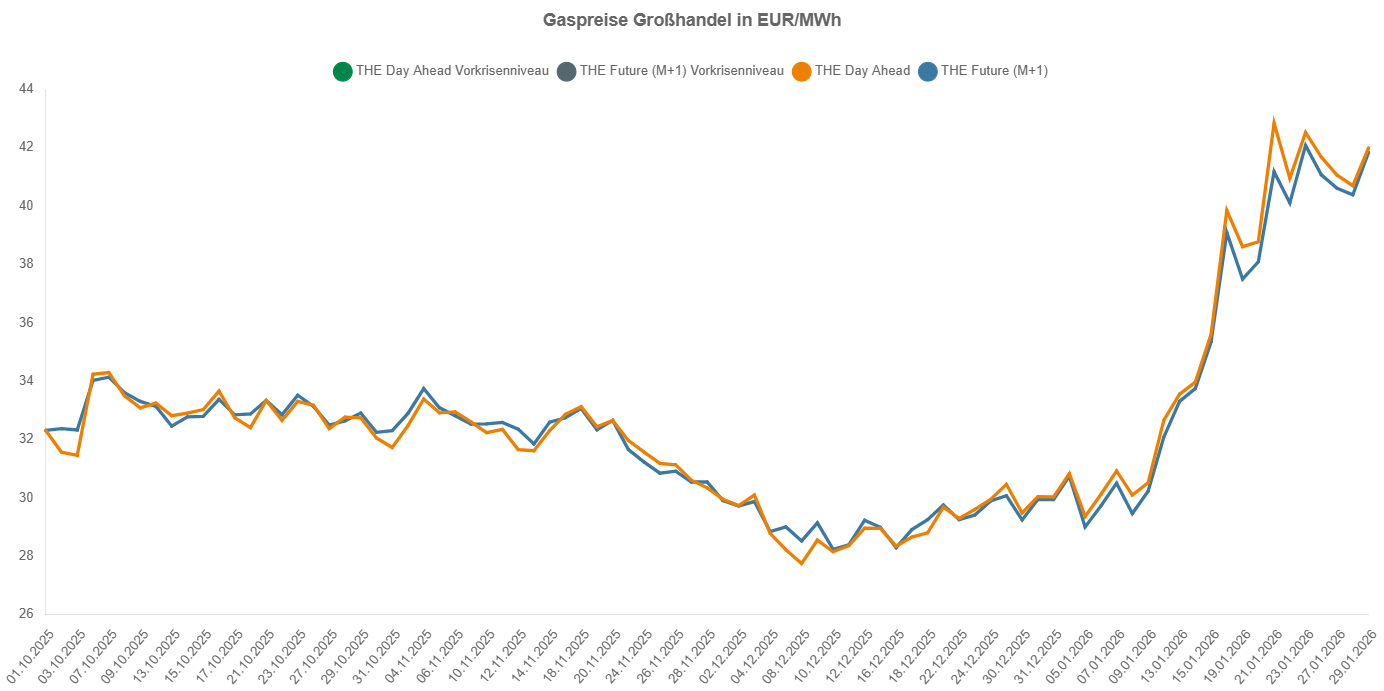 Gaspreise Statistik