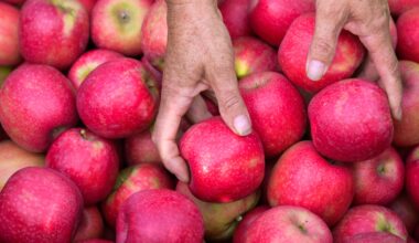 Pink Lady® Europe präsentiert auf der FRUIT LOGISTICA neue Markenstrategie