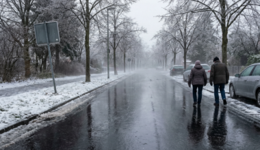 19 Verletzte bei Glatteis-Unfällen in Berlin und Brandenburg - BER stoppt alle Flüge | Aktuelle Nachrichten aus Deutschland und der Welt