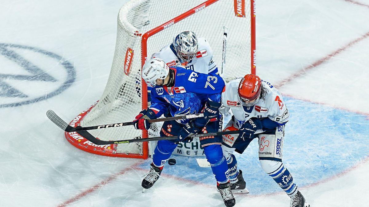 Baden-Württemberg: Adler Mannheim verlängern mit Stürmer Solow