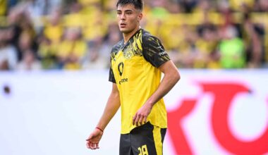 Anselmino wird nach Frankreich verliehen