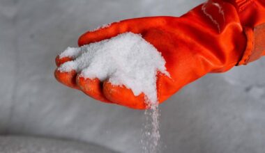 Berlin | Berlin: Gericht stoppt privaten Einsatz von Streusalz