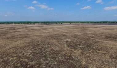 Lieberoser Wüste: Deutschlands Sahara mitten in Brandenburg | Leben & Wissen