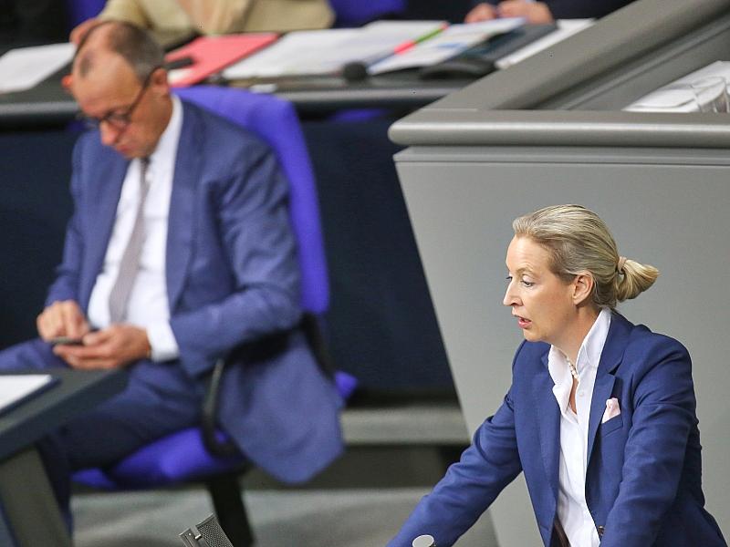 Union und AfD auch bei Insa wieder gleichauf