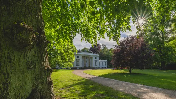 Ein Weg führt im Hirschpark in Hamburg zu einem Herrenhaus, im Vordergrund ein alter Baum. | picture alliance / Westend61, Kerstin Bittner Ein Weg führt im Hirschpark in Hamburg zu einem Herrenhaus, im Vordergrund ein alter Baum.