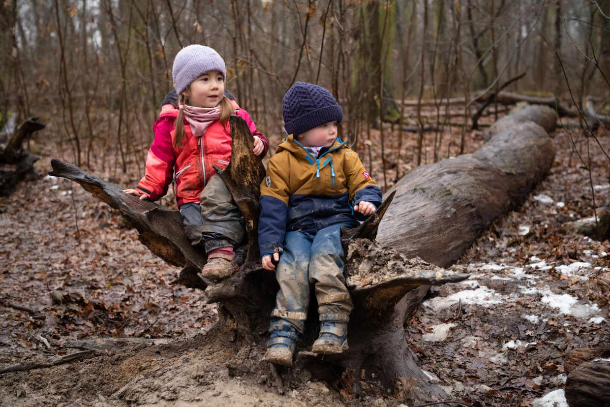 Im Spiel versunken: Für die Kinder ist der entwurzelte Baum ein Krankenwagen.
