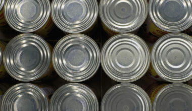 Energieintensive Branchen wollen Preis von 50 Euro • Table.Briefings