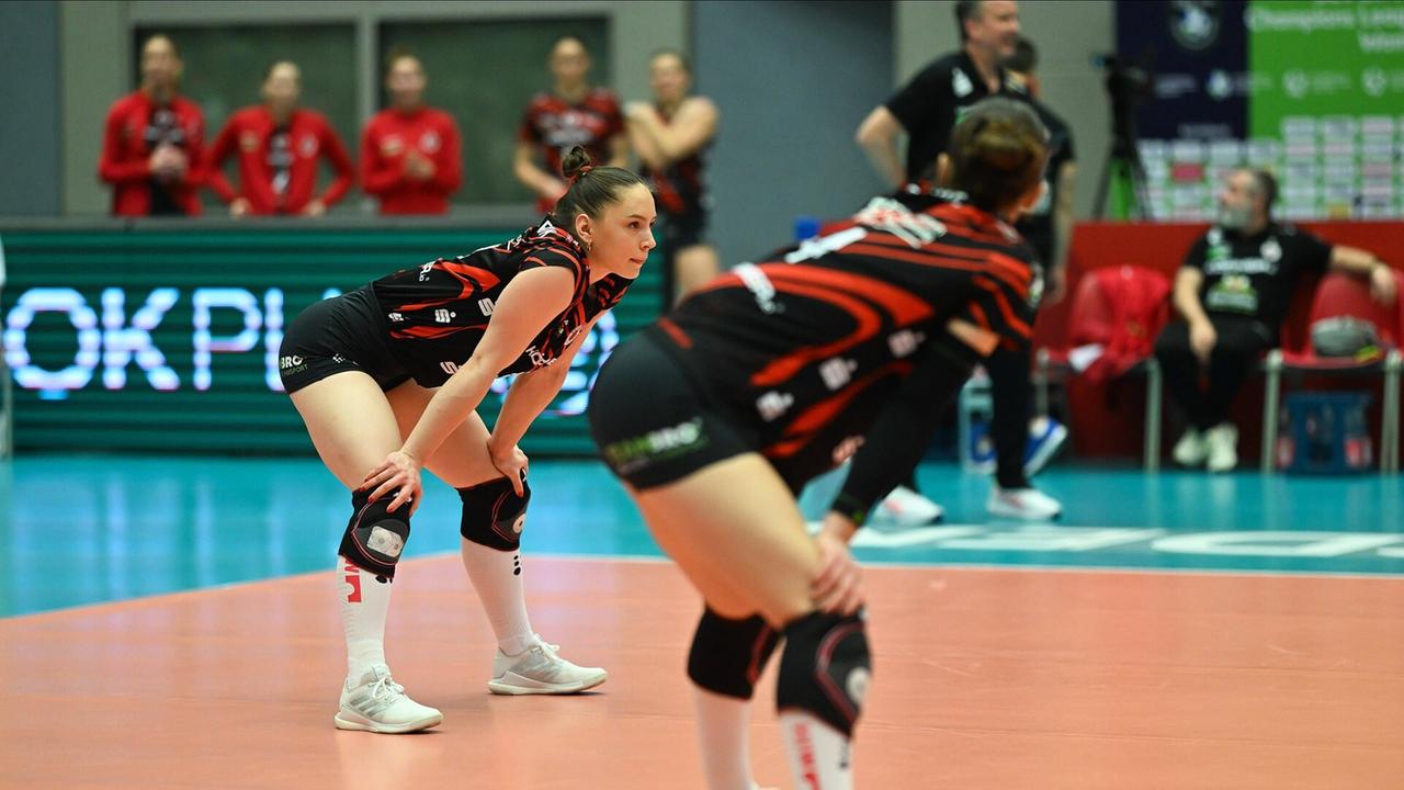 Volleyball | Bundesliga: Dresden unterliegt Schwerin im Verfolgerduell - Erfurt beim Ligaprimus chancenlos