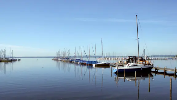 Das Steinhuder Meer bei Hannover ist der größte Flachsee Norddeutschlands - zugleich Segler- und Naturparadies. | NDR/Naturfilm/Klaus Weißmann Das Steinhuder Meer bei Hannover ist der größte Flachsee Norddeutschlands - zugleich Segler- und Naturparadies.