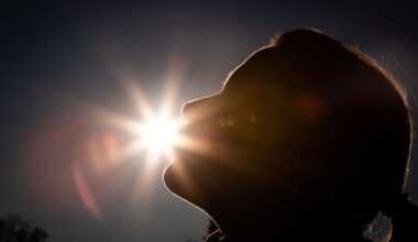 Ernährungstrend: Vitamin-D-Ergänzung im Winter: Hype oder sinnvoll?