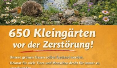 Stoppt das KEK26 rettet Hannovers Kleingärten