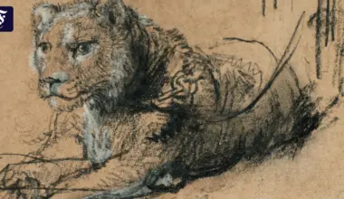 Auktion in New York: Löwe von Rembrandt