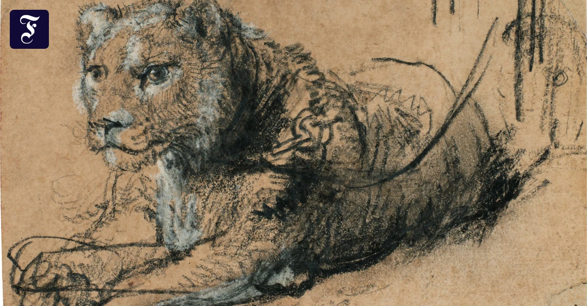 Auktion in New York: Löwe von Rembrandt