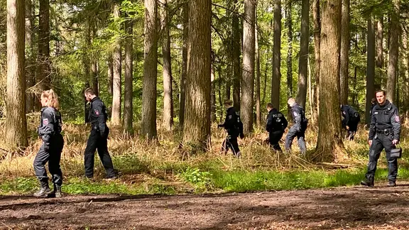 Polizisten suchen einem Wald nahe Bremervörde-Elm nach einem vermissten Jungen im Landkreis Rotenburg. | NDR, Peter Becker Polizisten suchen einem Wald nahe Bremervörde-Elm nach einem vermissten Jungen im Landkreis Rotenburg.